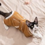 Autumn & Winter Thickened Warm Faux Suede 4-Legged Cotton Padded Pet Apparel for Kittens and Puppies