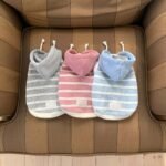 New Arrival Autumn Dog Hooded Vest with Colorful Stripes, Sleeveless Pet Apparel for Small & Medium Dogs and Cats - Image 3