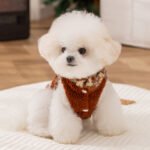 Autumn & Winter Ethnic Style Polar Fleece Warm Harness Vest, Pet Apparel for Teddy Small Dogs and Cats - Image 2