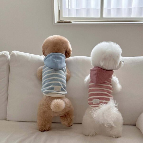 New Arrival Autumn Dog Hooded Vest with Colorful Stripes, Sleeveless Pet Apparel for Small & Medium Dogs and Cats