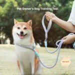 Color-Block Dog Slip Lead, No-Pull Pet Leash for Small & Medium Dogs, Outdoor Walking Lead for Teddy, Bichon & Golden Retriever