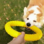 Outdoor Dog Training Tug Ring, Interactive Human-Pet Toy, Safe Soft Rubber Bite-Resistant Chew Toy for Self-Play & Energy Burning