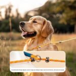 Professional Dog Show Slip Lead, No-Pull P-Leash for Outdoor Walking, Universal Dog Leash for Medium & Large Breeds