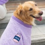 Autumn & Winter 2-Legged Fleece Dog Hoodie for Medium & Large Breeds (Golden Retriever, Samoyed) - Image 3
