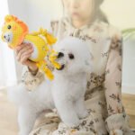 Squeaky Dog Chew Toys for Aggressive Chewers, Durable Plush Training Toys for Puppies & Large Dogs - Image 2