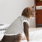Spring & Summer Minimalist Style Breathable Polka Dot Cat Vest