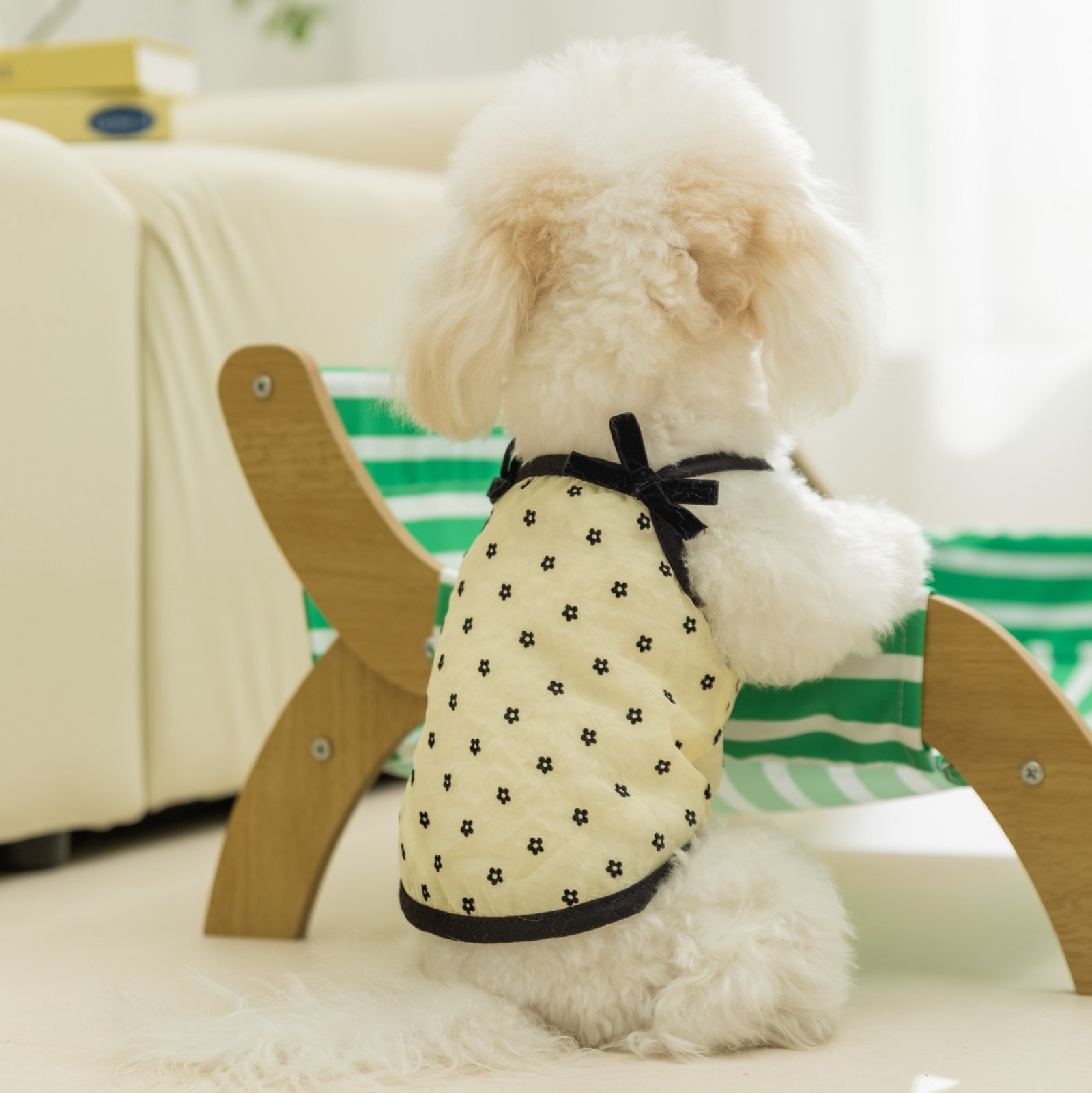 主图_1 Spring & Summer Mesh Polka Dot Bowknot Vest for Small & Medium Dogs - Image 1