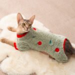 Autumn & Winter Cat Fleece Jumpsuit with Cute Cartoon Fruit Full Embroidery for Kittens & Puppies