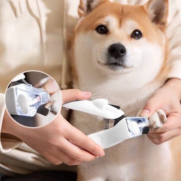 LED Light Dog Nail Clippers for Beginners, Oversized Pet Nail Trimmer with Quick View, Professional Pet Grooming Supplies