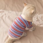 New Arrival Autumn & Winter Thickened Warm Striped Collared Knit Cat Sweater, 2-Legged Pet Apparel for Kittens - Image 2