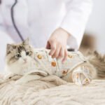 Cat Recovery Suit, Breathable Post-Surgery Medication & Weaning Apparel for Female Cats, Anti-Licking Pet Sanitary Garment - Image 2