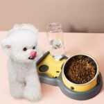 2-in-1 Cat & Dog Double Bowl with Automatic Water Dispenser, Anti-Spill Slow Feeder Food & Water Bowl Combo - Image 2