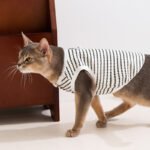 Spring & Summer Minimalist Style Breathable Polka Dot Cat Vest - Image 3