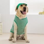Spring & Summer Striped Lightweight Hooded Vest Set for Large Dog Breeds (Golden Retriever, Labrador Retriever) - Image 4