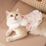 Princess-Style Rabbit Ear Harness Dress, Thickened Warm Pet Winter Apparel