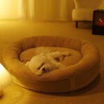 All-Season Round Pet Bed, Thickened & Warm Dog Bed for Small/Medium Dogs and Cats - Image 2