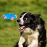 Cotton Rope Frisbee Dog Toy, Outdoor Throwing Interactive Fetch Toy - Image 2